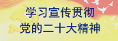 学习宣传贯彻党的二十大精神